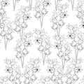 Roselle flower seamless pattern ink hand drawn sketch art design element stoock vector illustration Royalty Free Stock Photo